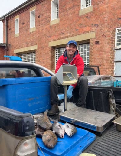 Fish sale back of Ute Tasmania Highlight