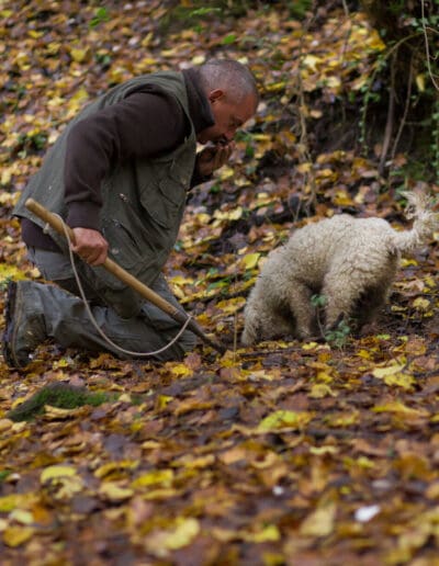 truffle hunting tuscany