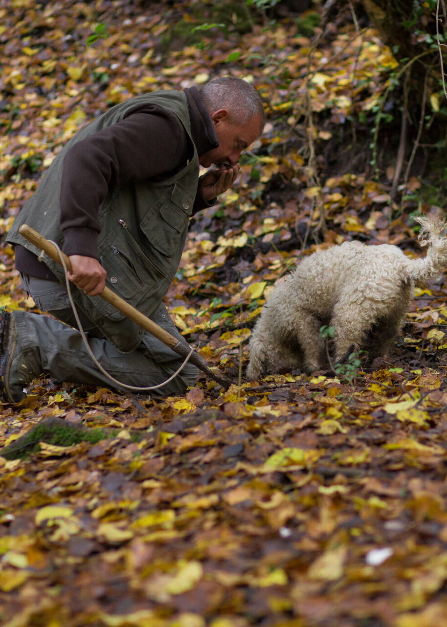 truffle hunting tuscany