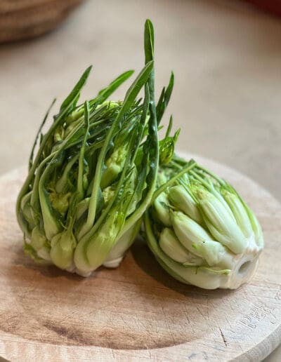 Veneto Food Tour - Puntarelle