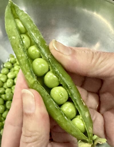 Cooking Class fresh peas Sicily